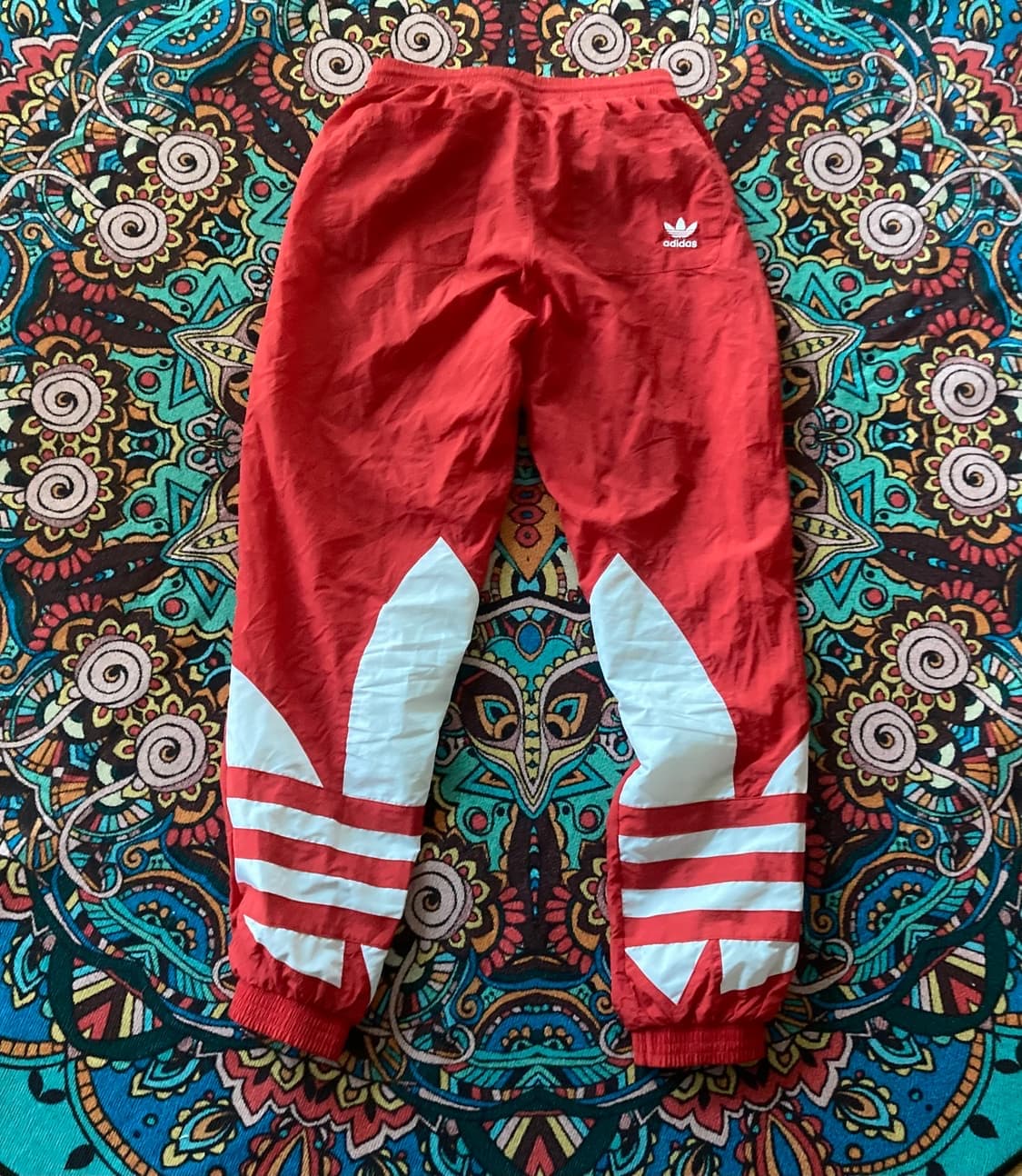 아디다스 빅트레포일 트레이닝 셋업 상품이미지8