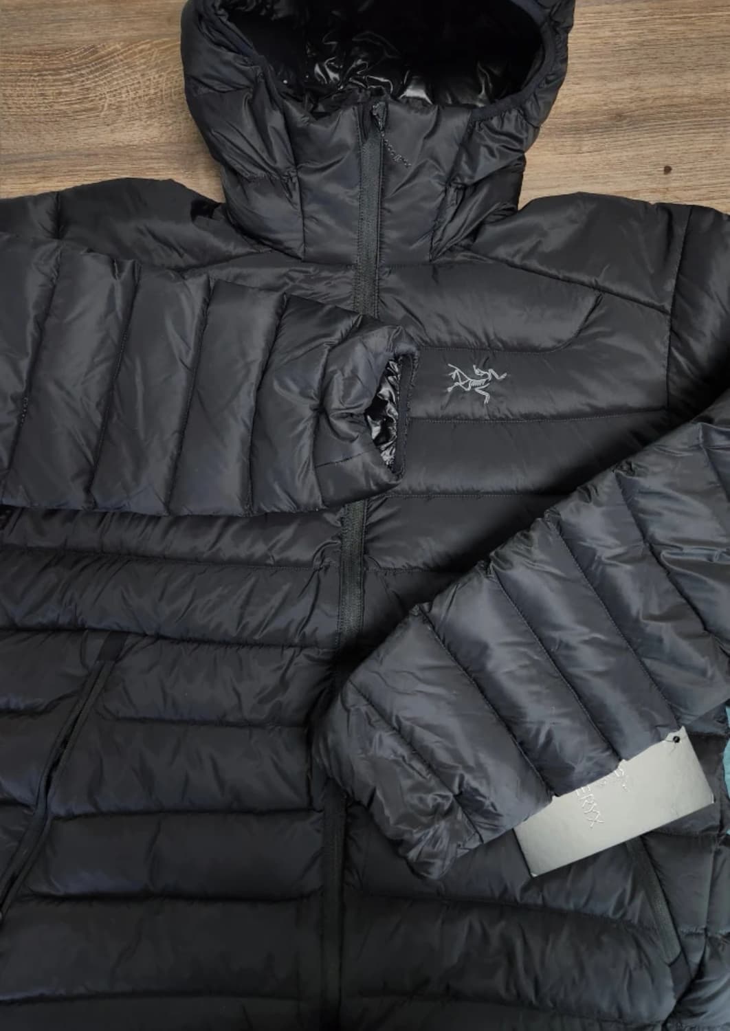 아크테릭스 세륨 후디 블랙 상품이미지1