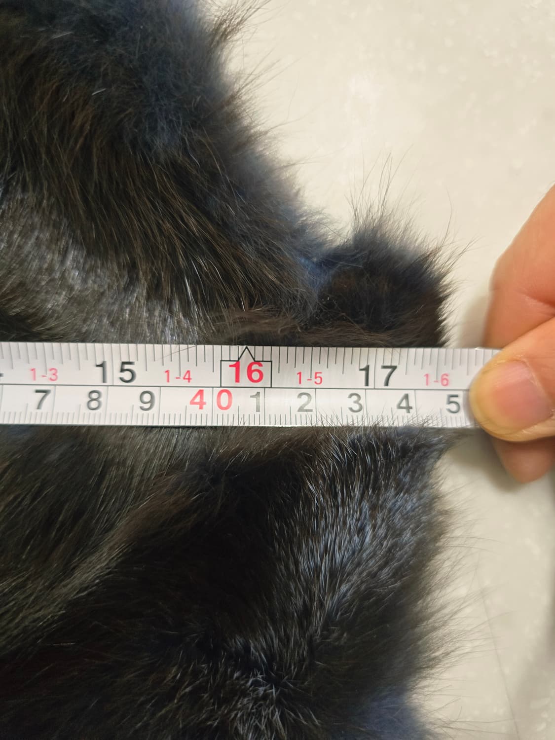 COMPAGNA 폭스퍼 베스트 조끼 상품이미지7