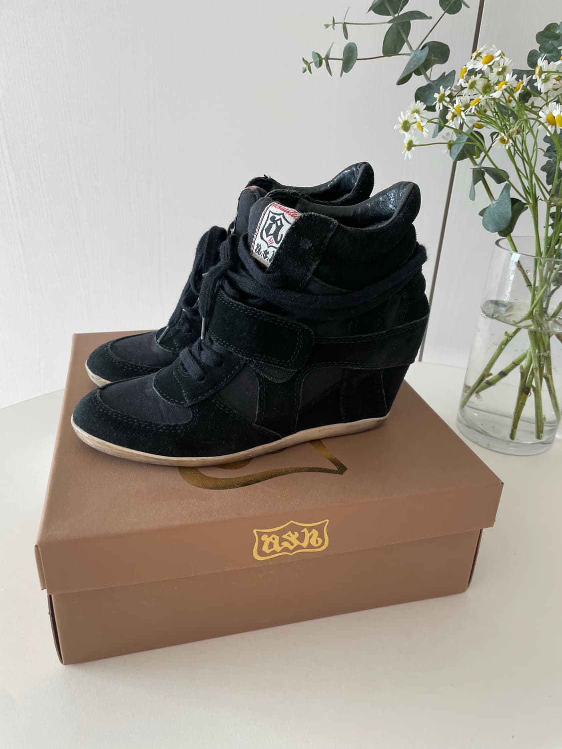 (풀셋) ash 보위 블랙 스니커즈 38 상품이미지3