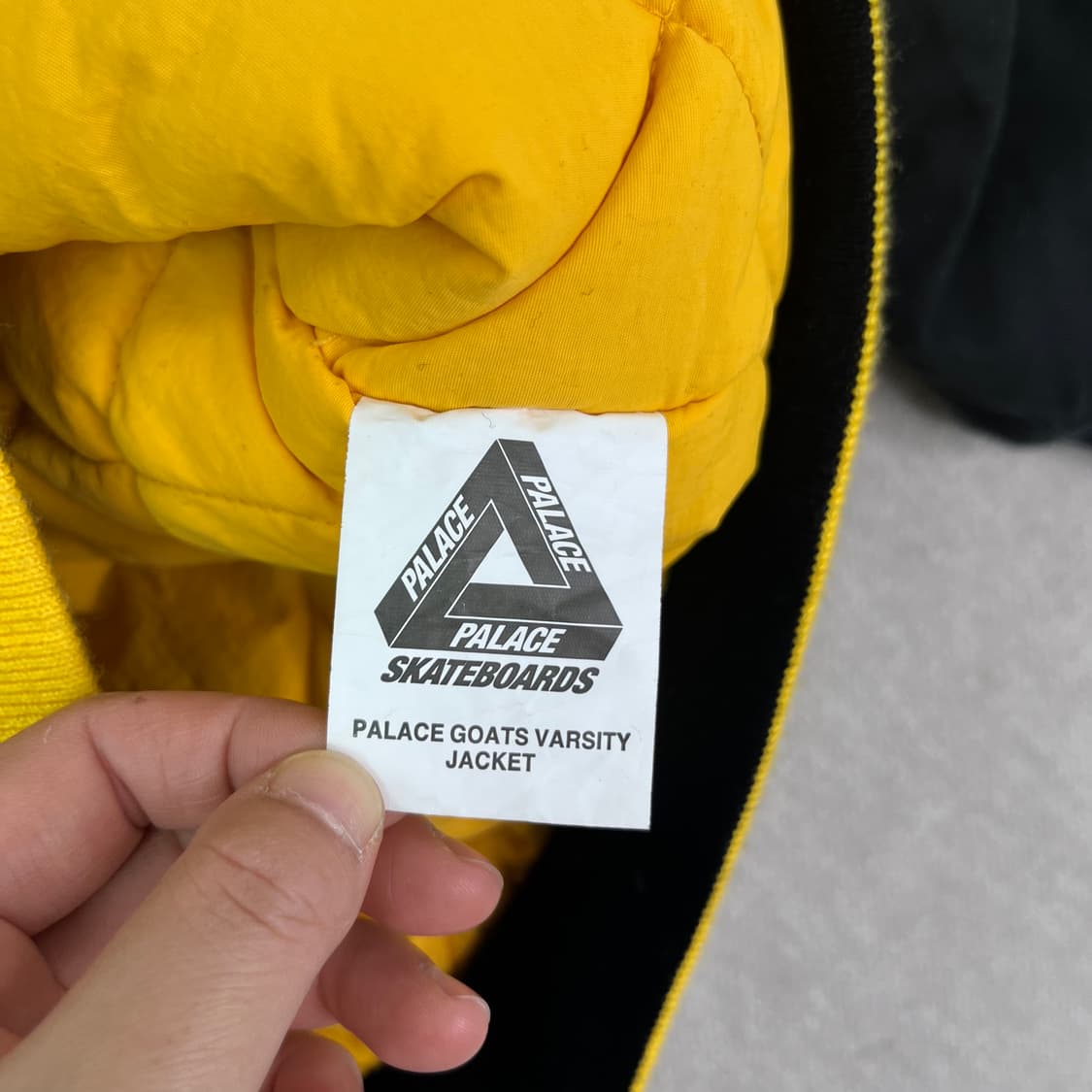 105 팔라스 22ss 코트 바시티 자켓 상품이미지8