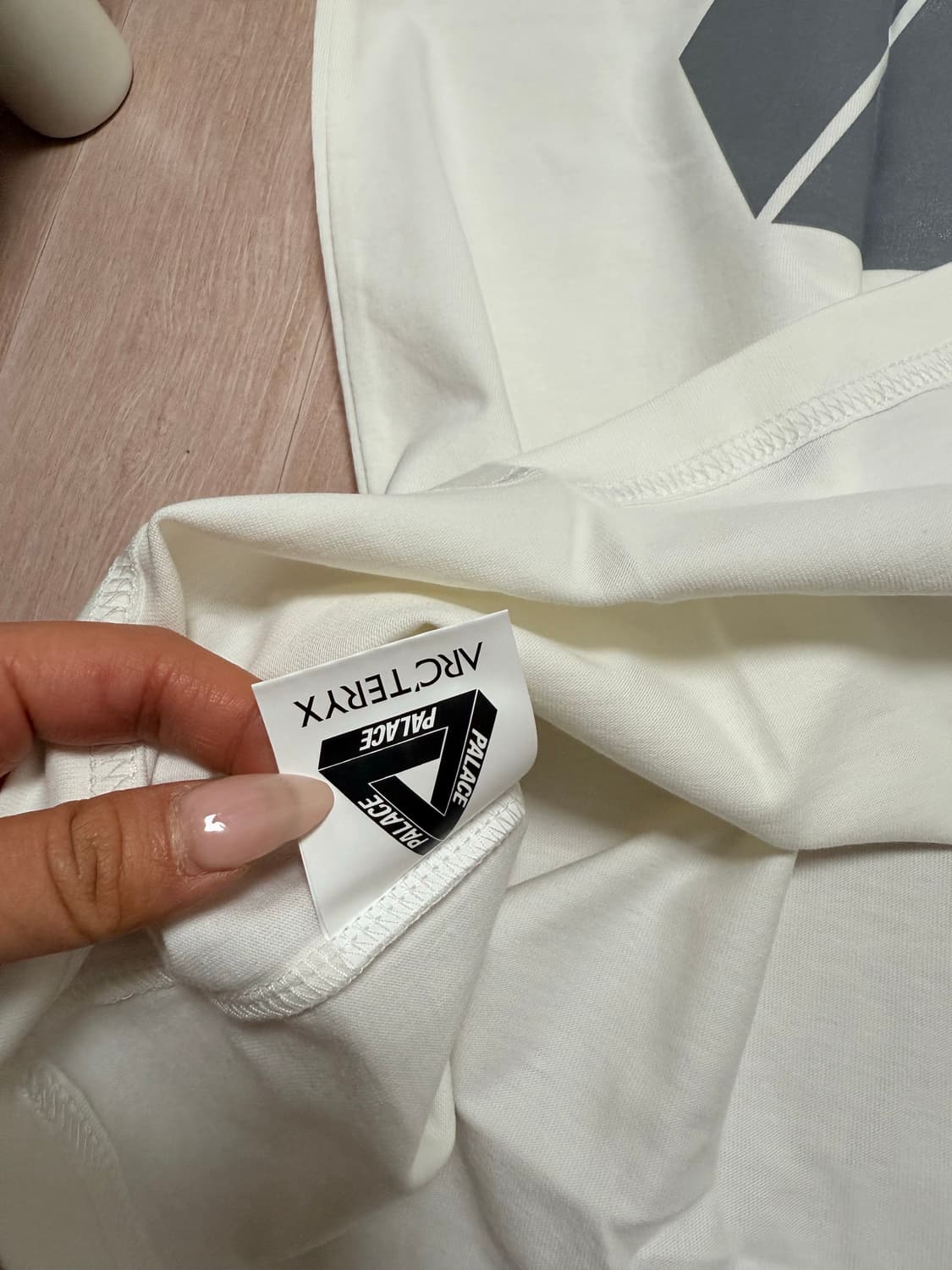 Arc’teryx × Palace 한정 콜라보 티셔츠 / L 상품이미지4