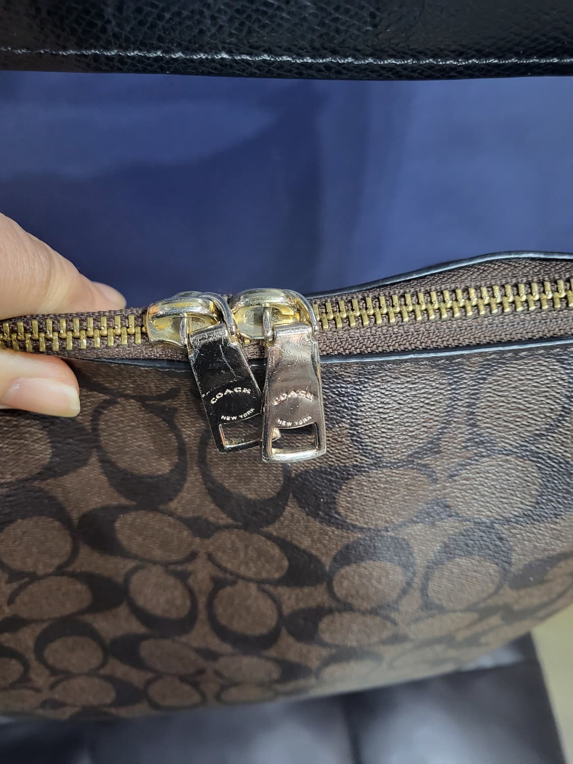 코치 시그니처 호보백 상품이미지8