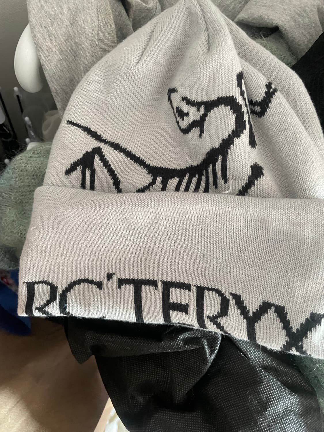 급처🙏아크테릭스 버드 워드 토크 오르카 비니 상품이미지1