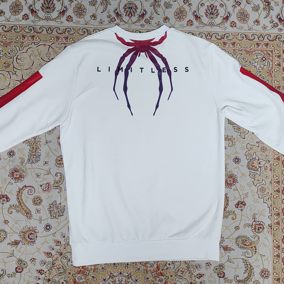 스파이더 코튼 남성 맨투맨 95 상품이미지2