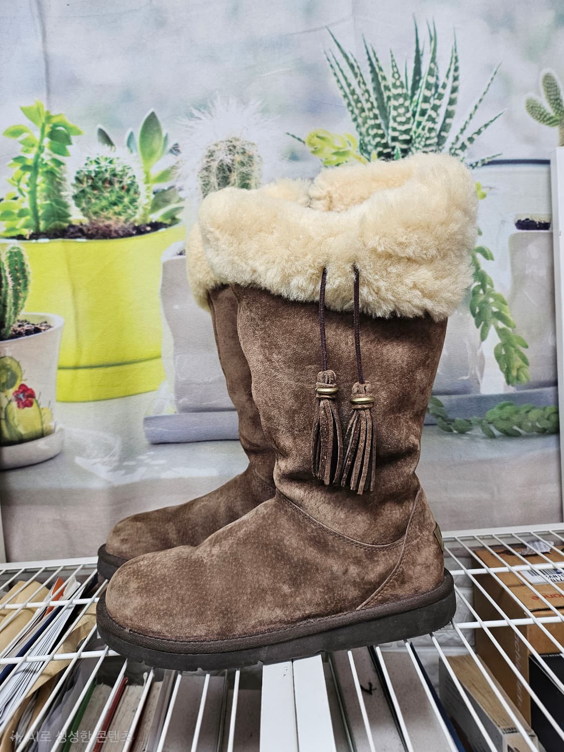 어그부츠 250 롱부츠 여성 방한부츠 방한화 플럼데일 태슬 LB52 상품이미지3