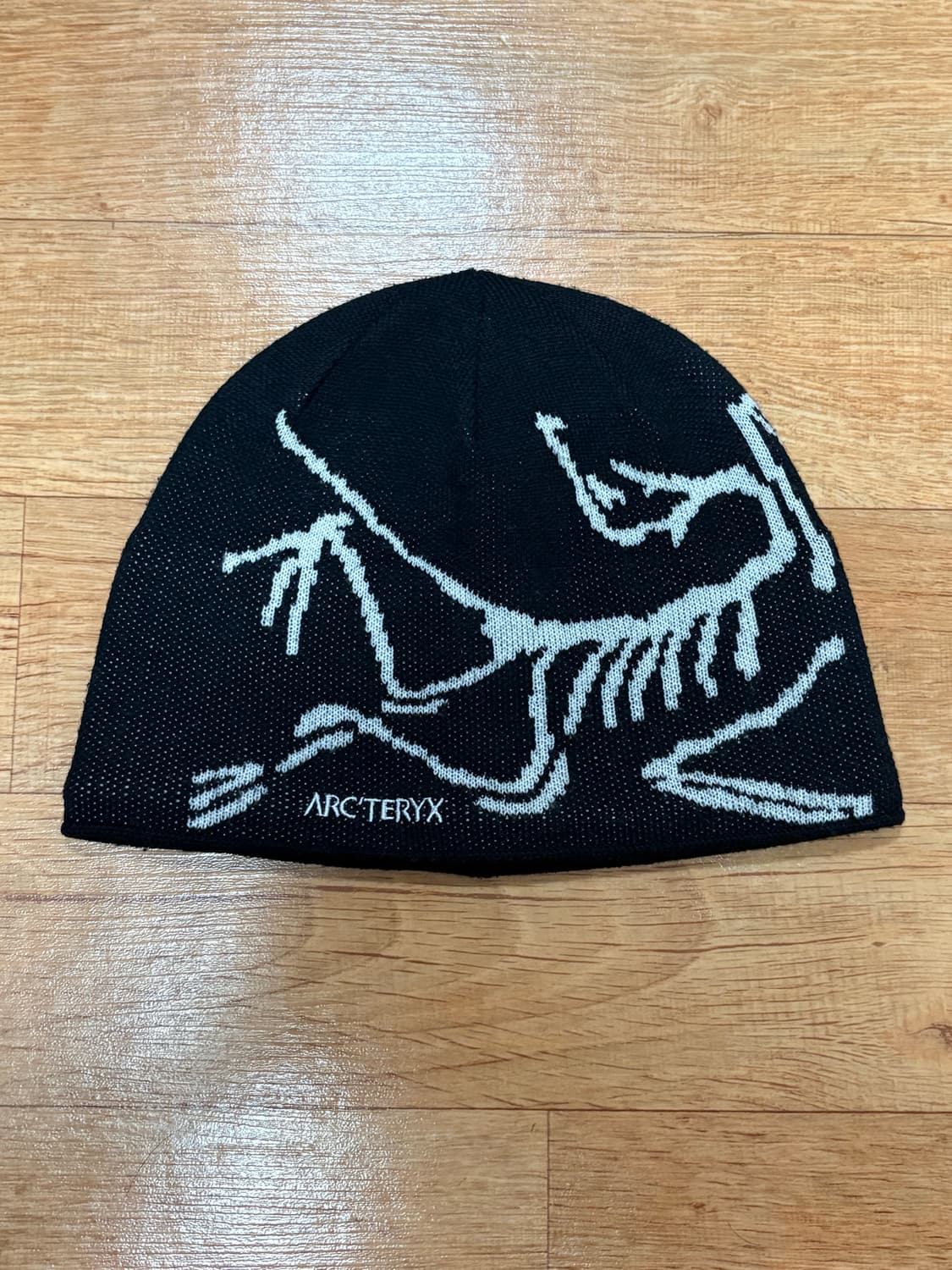 아크테릭스 비니 상품이미지1