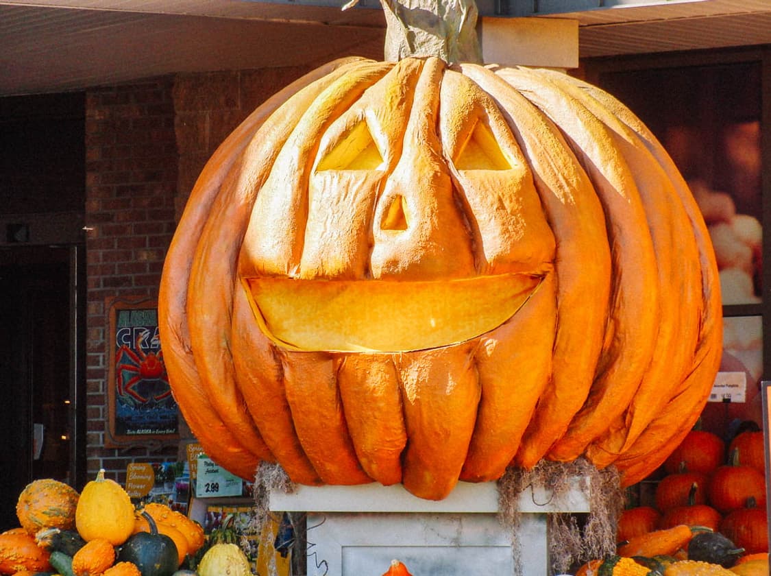 Nikon Coolpix 3100 (니콘 쿨픽스 3100) 상품이미지8