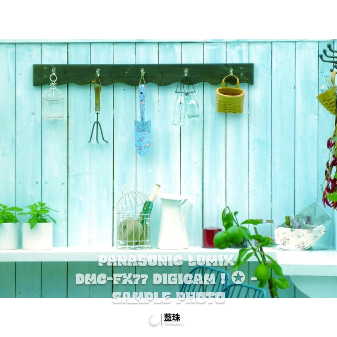 파나소닉 루믹스 DMC-FX77  빈티지 디카 골드 레오파드 커스텀 상품이미지7