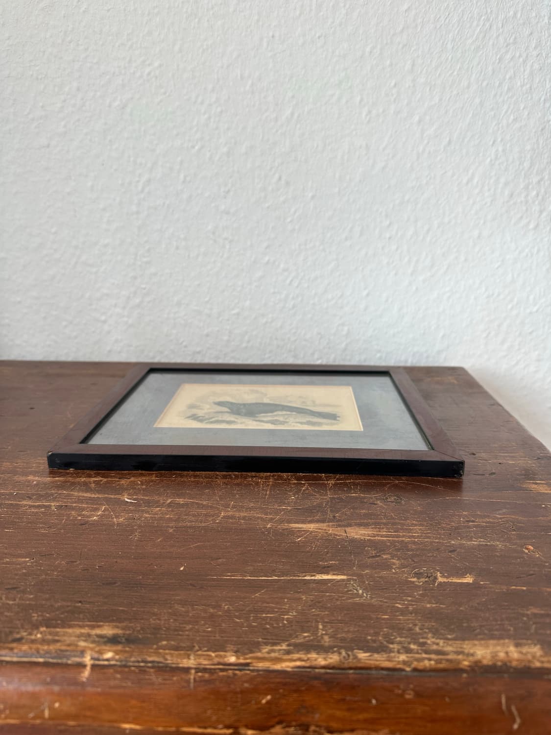 독일)빈티지 물개 액자 상품이미지2