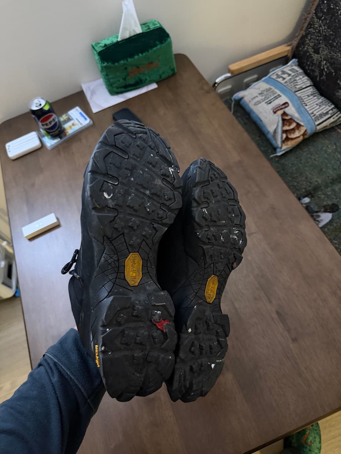 285) 로아 카타리나 상품이미지4