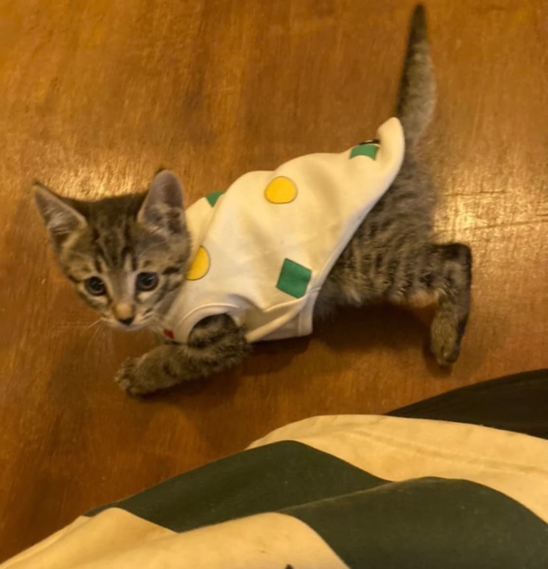 개인결제 상품이미지1