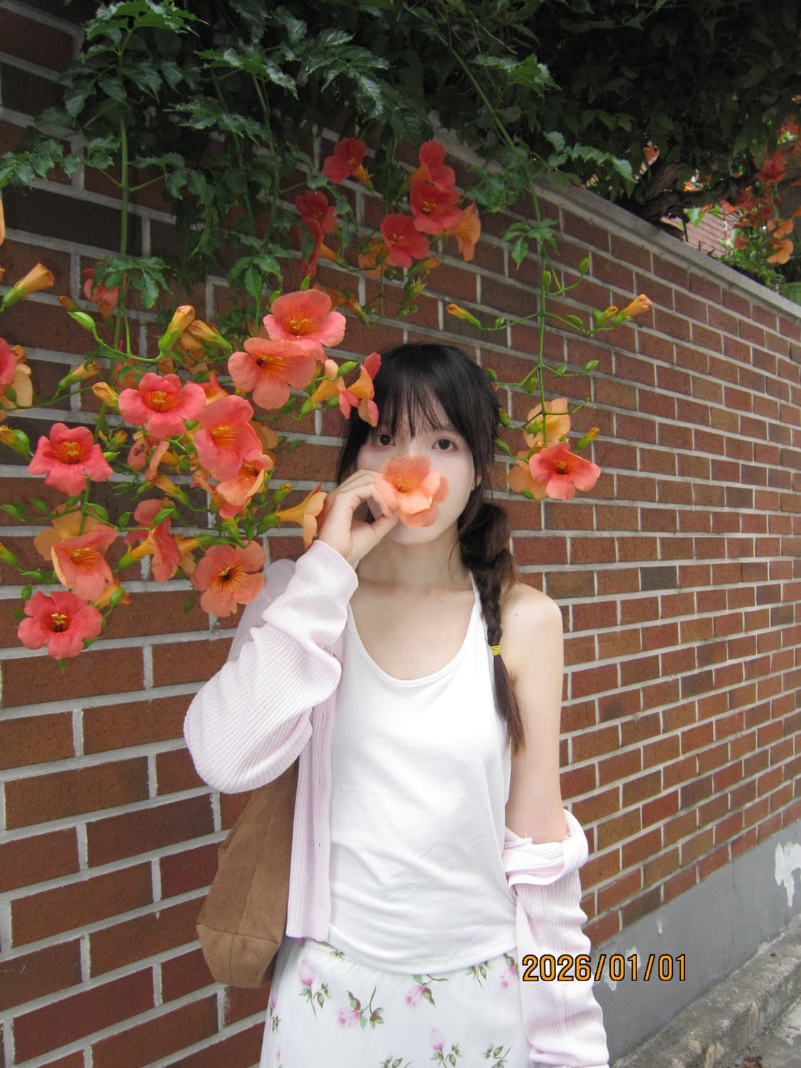 Canon ixus115hs ( ixy210f) 상품이미지7