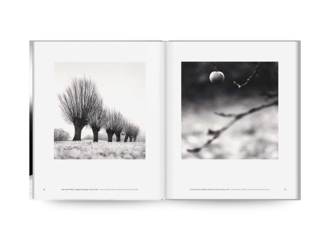 미개봉 / Michael Kenna Trees 마이클케냐 사진집 상품이미지2