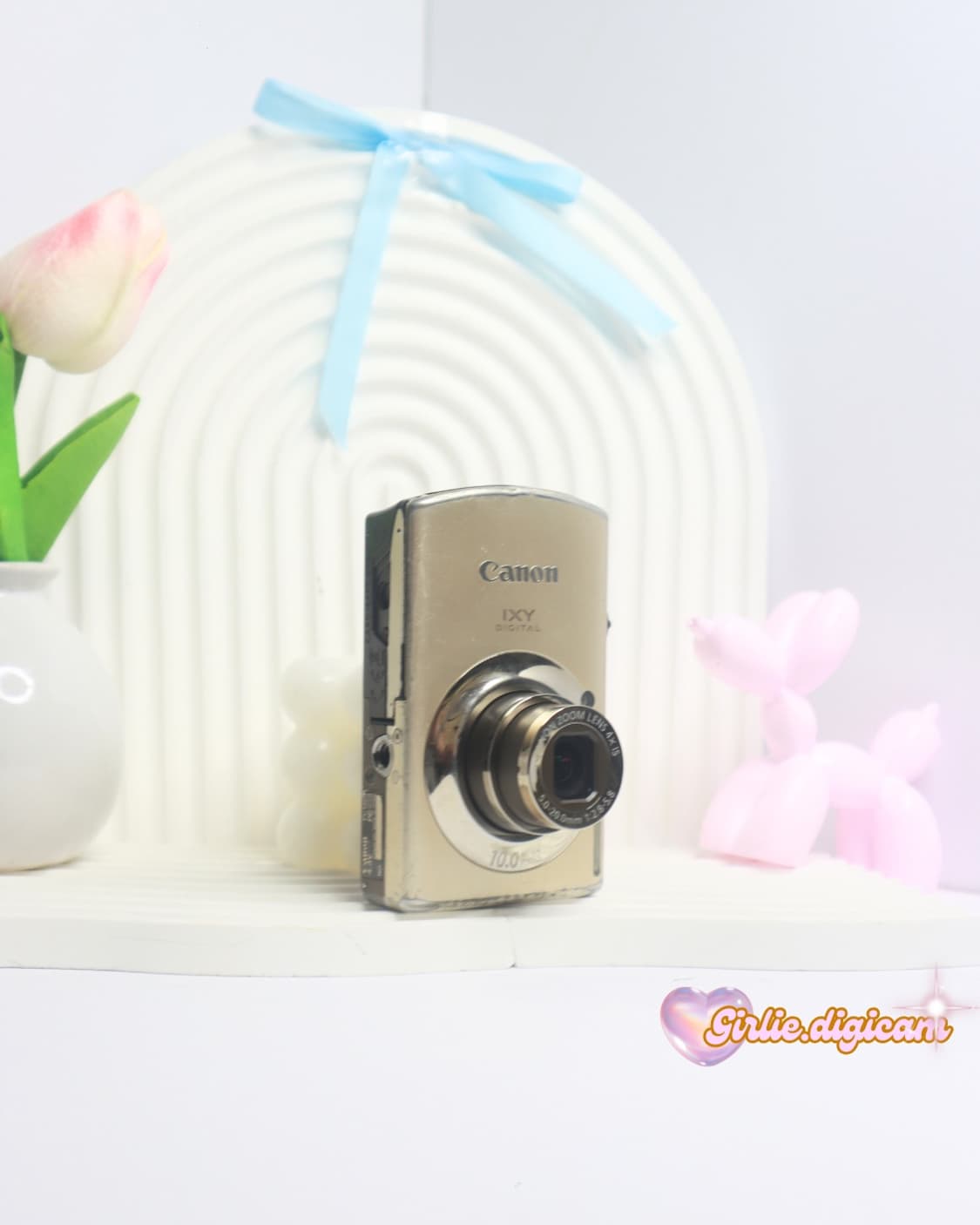 쓰테이시 세은 픽!) 캐논 익서스 870IS / 익시 920IS 상품이미지2