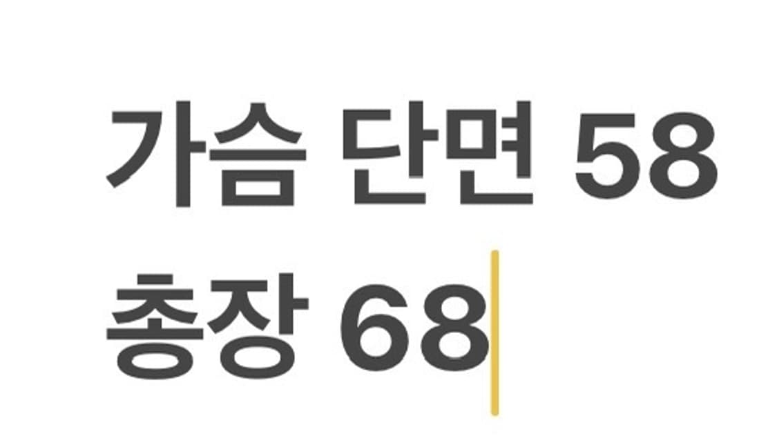 [정품/XXL] 노스페이스 바람막이 베스트 브라운 b17 상품이미지7