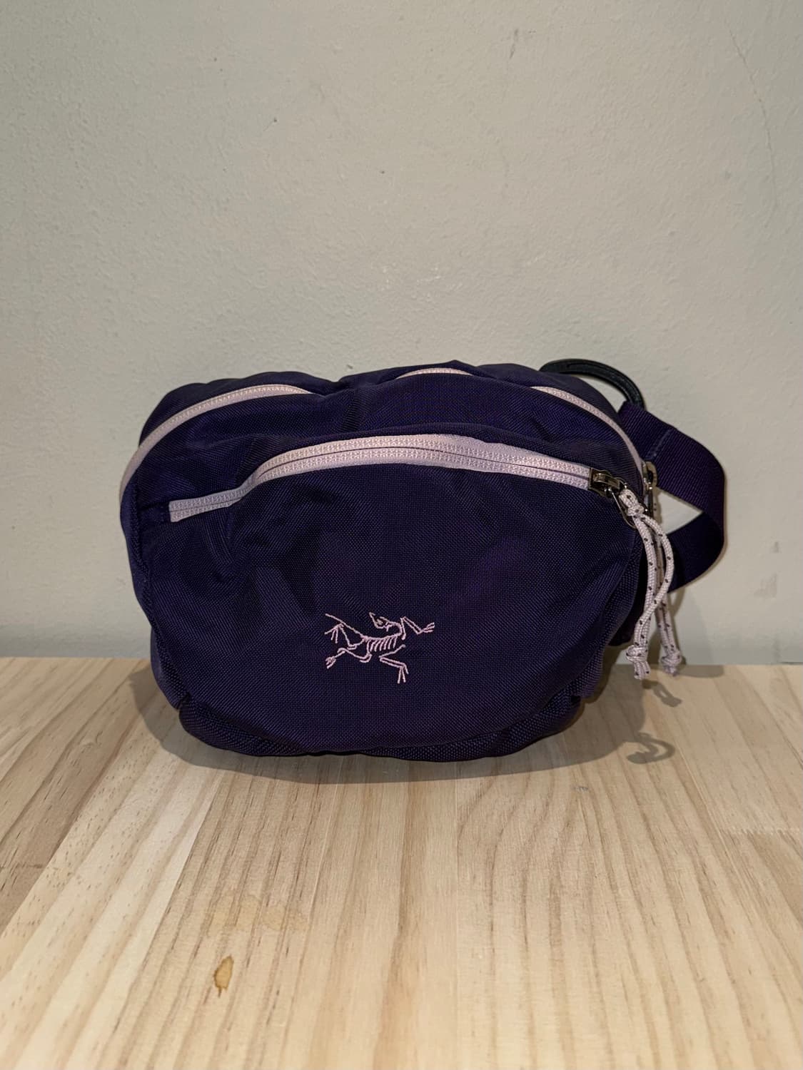 아크테릭스 벨트백 상품이미지3