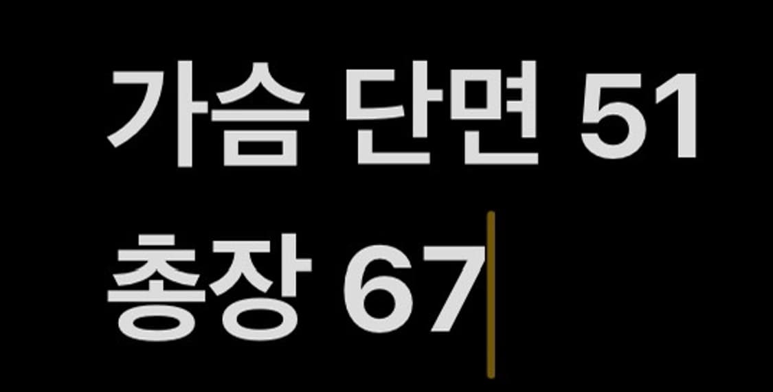 [ 정품 ] 세터 스몰 로고 반팔티 b15 상품이미지6
