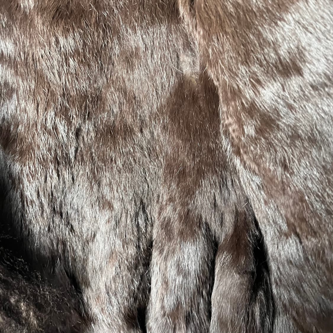 [JPN] 오리엔탈 래빗퍼 레더 자켓 상품이미지5