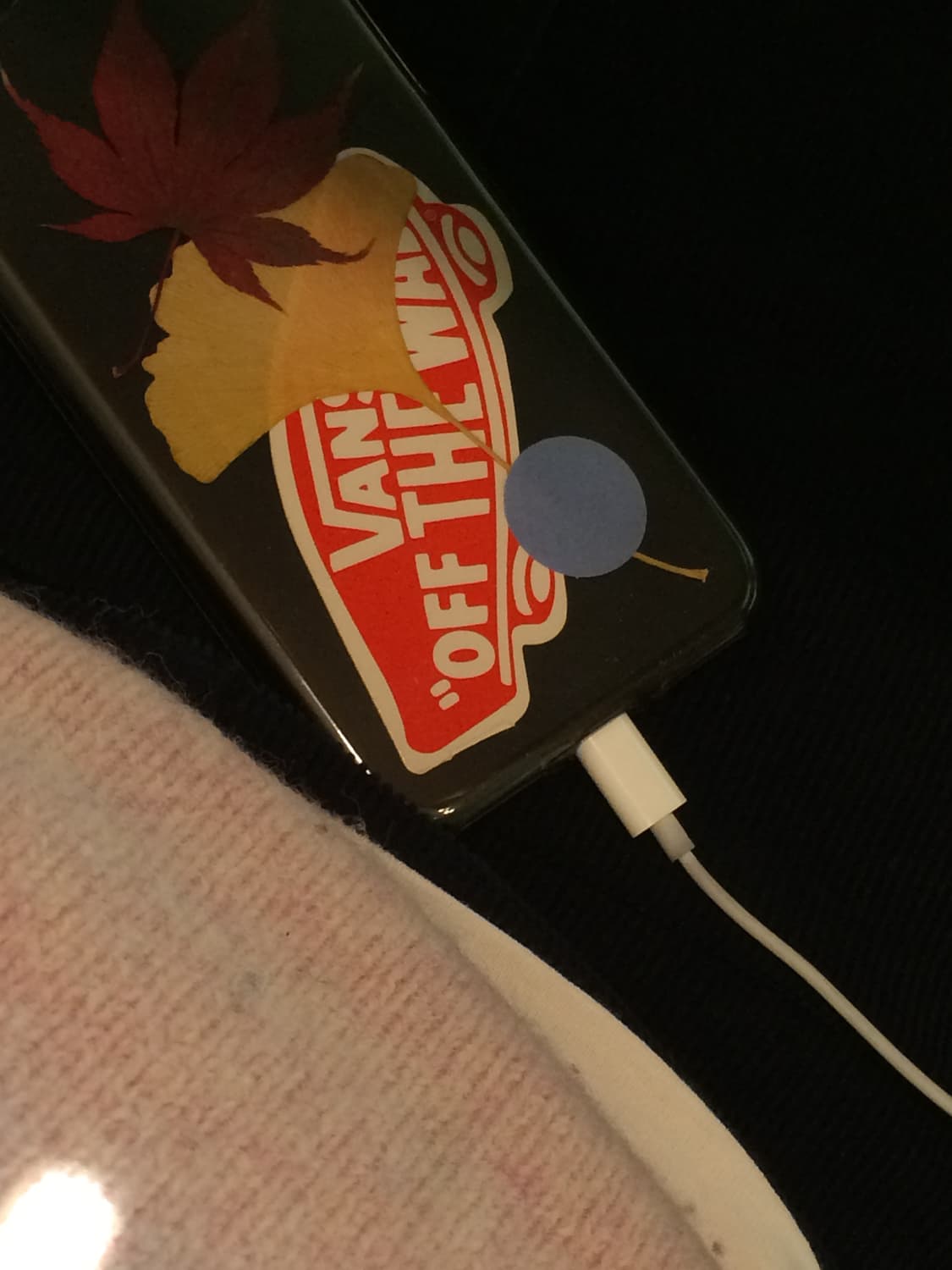 아이폰 5s 스페이스 그레이 색상 32GB 상품이미지10