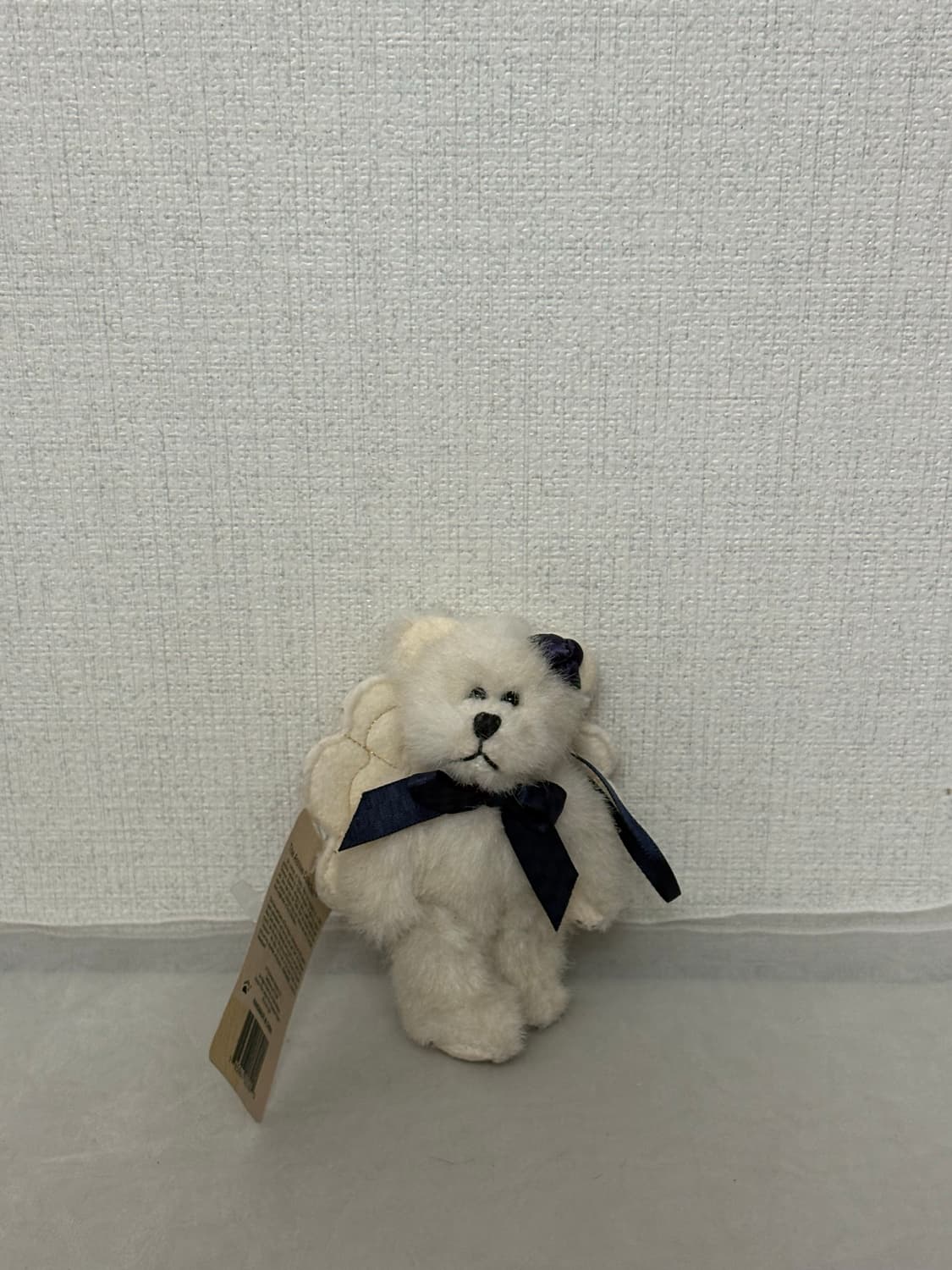 보이즈베어 쪼꼬미 상품이미지2