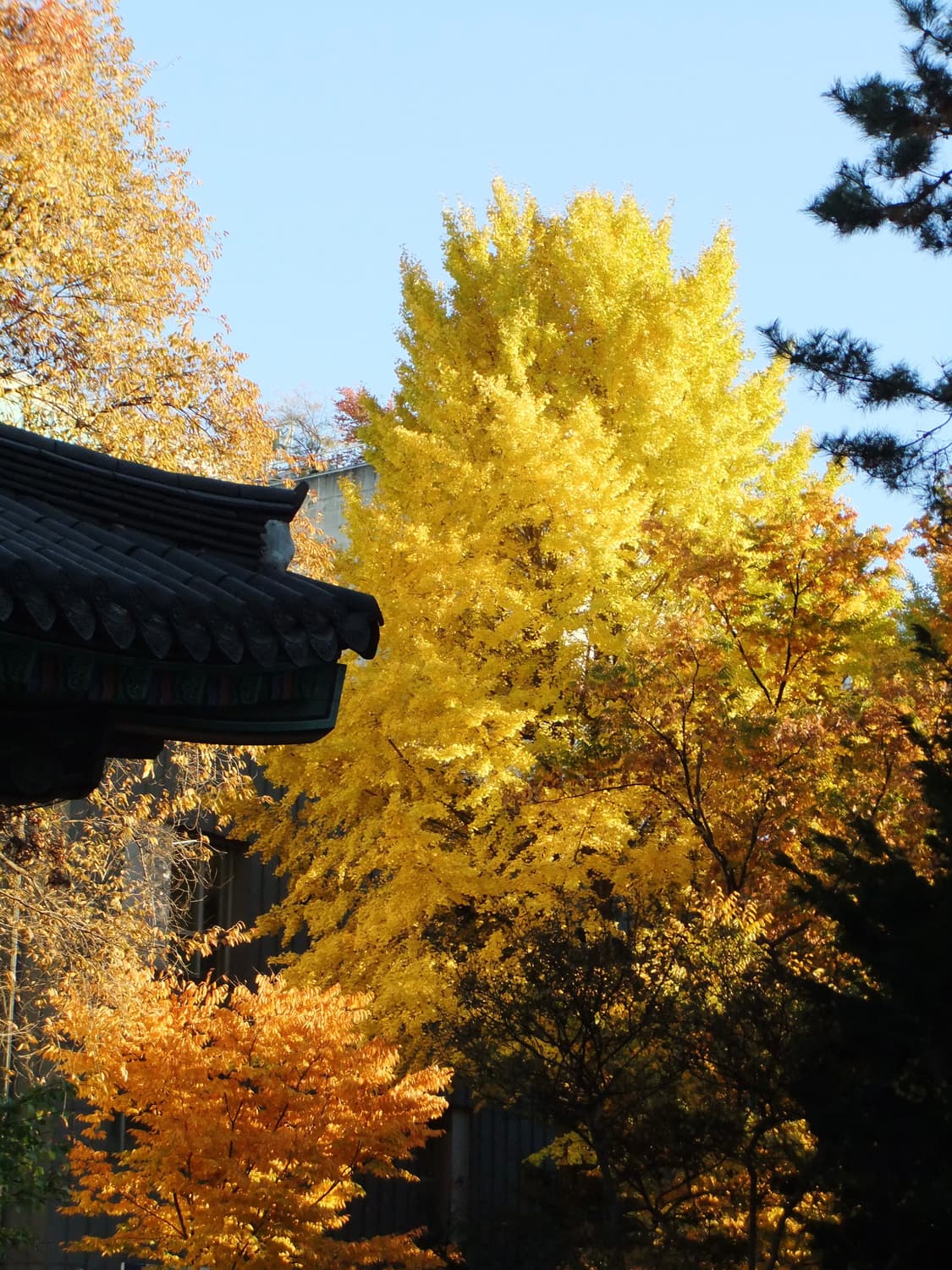 작례o)) 후지필름 파인픽스 f70exr 상품이미지6