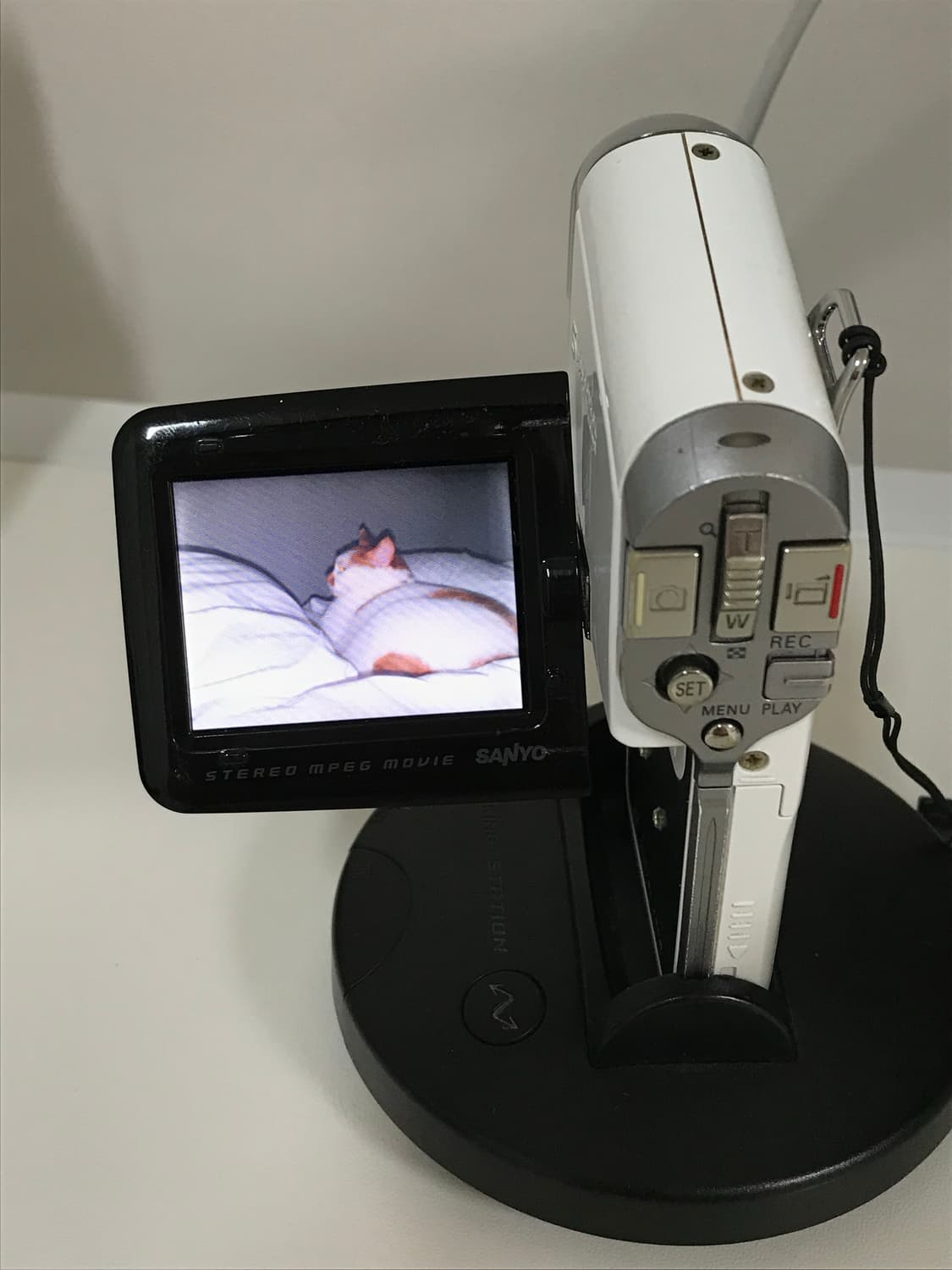 산요 작티 c5 화이트 (sanyo xacti dmx-c5) 상품이미지6