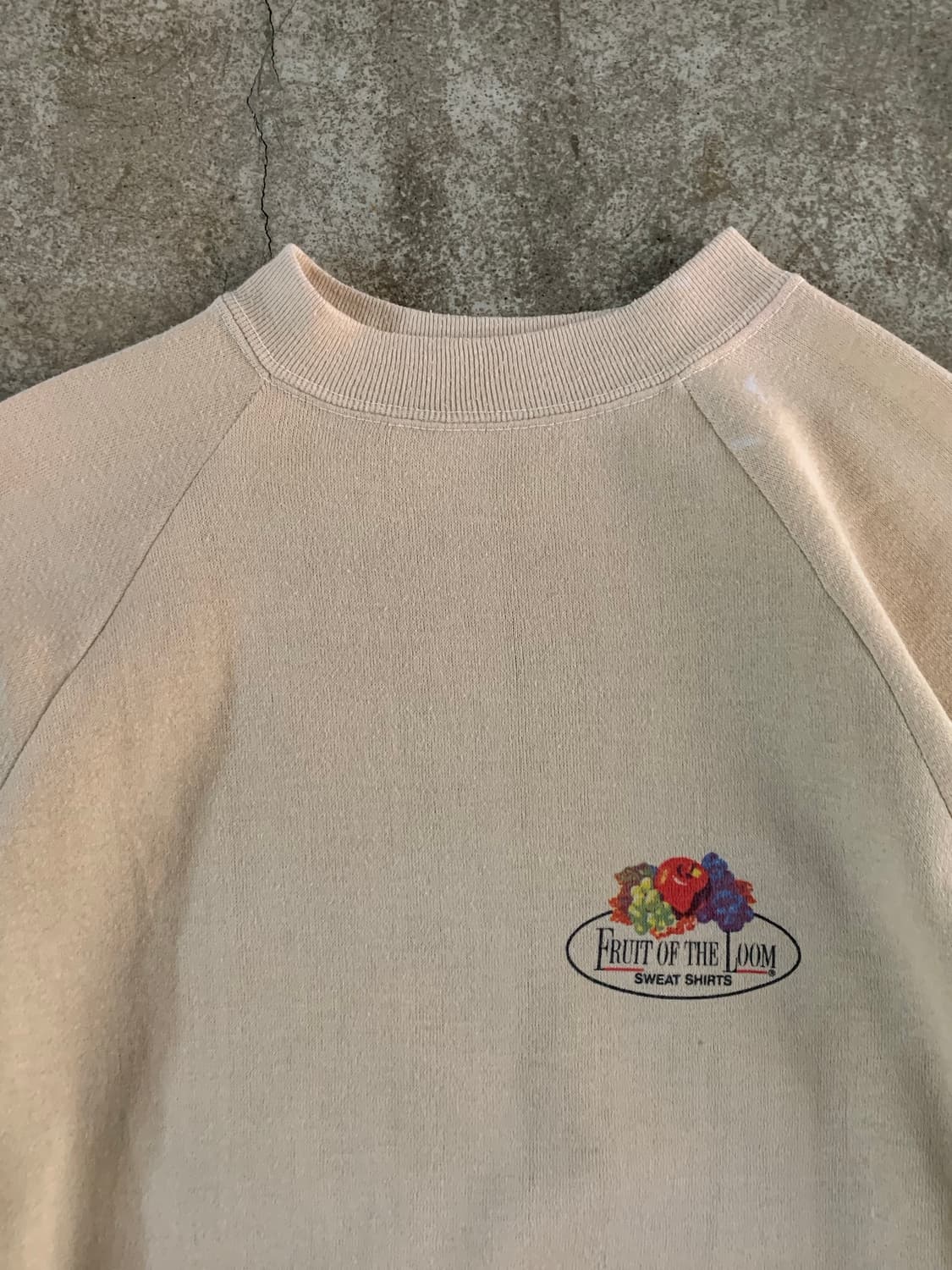 70s 프룻오브더룸 프린팅 스웻셔츠 상품이미지2