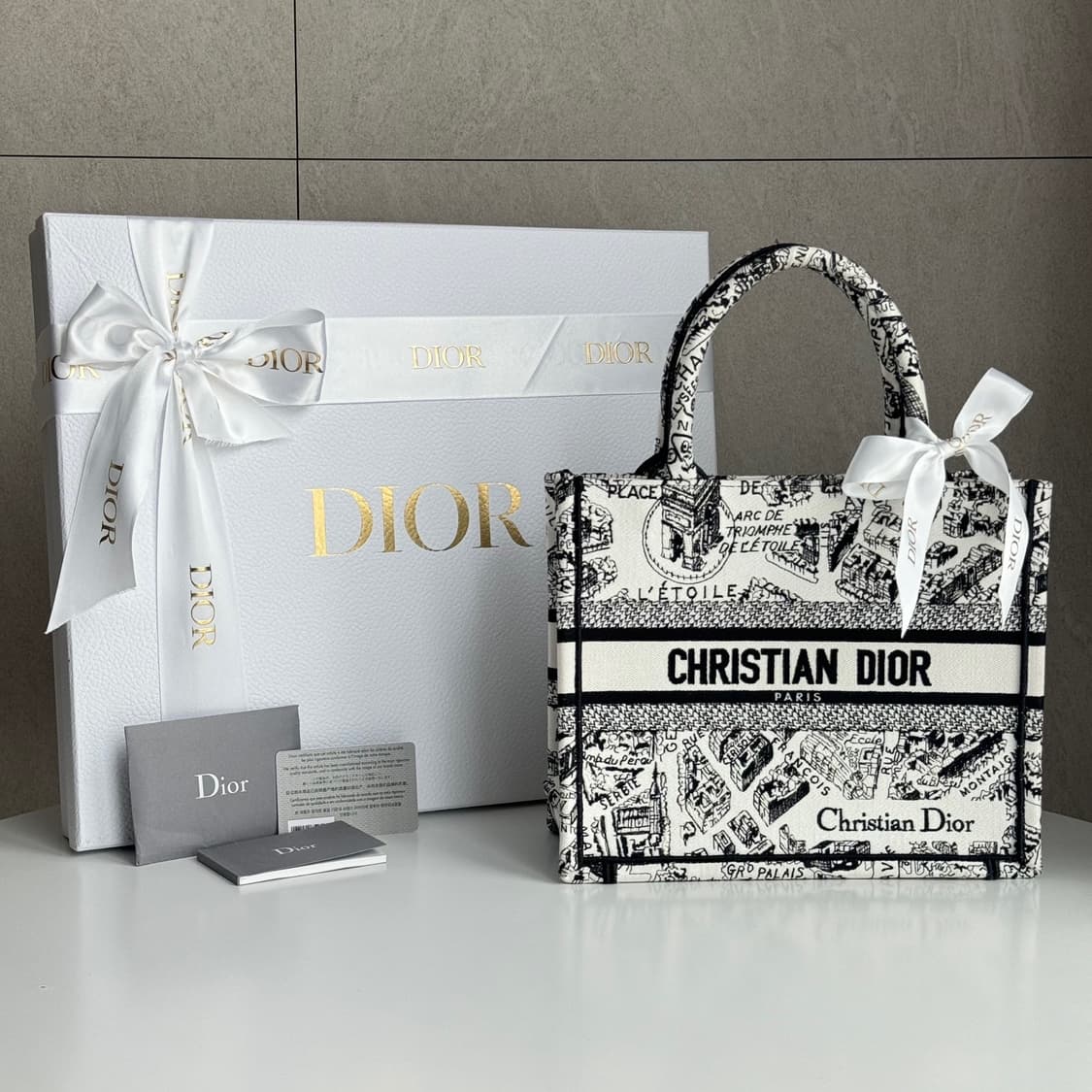 [새상품급] 디올 플랜드 파리 북토트 백 스몰 상품이미지1