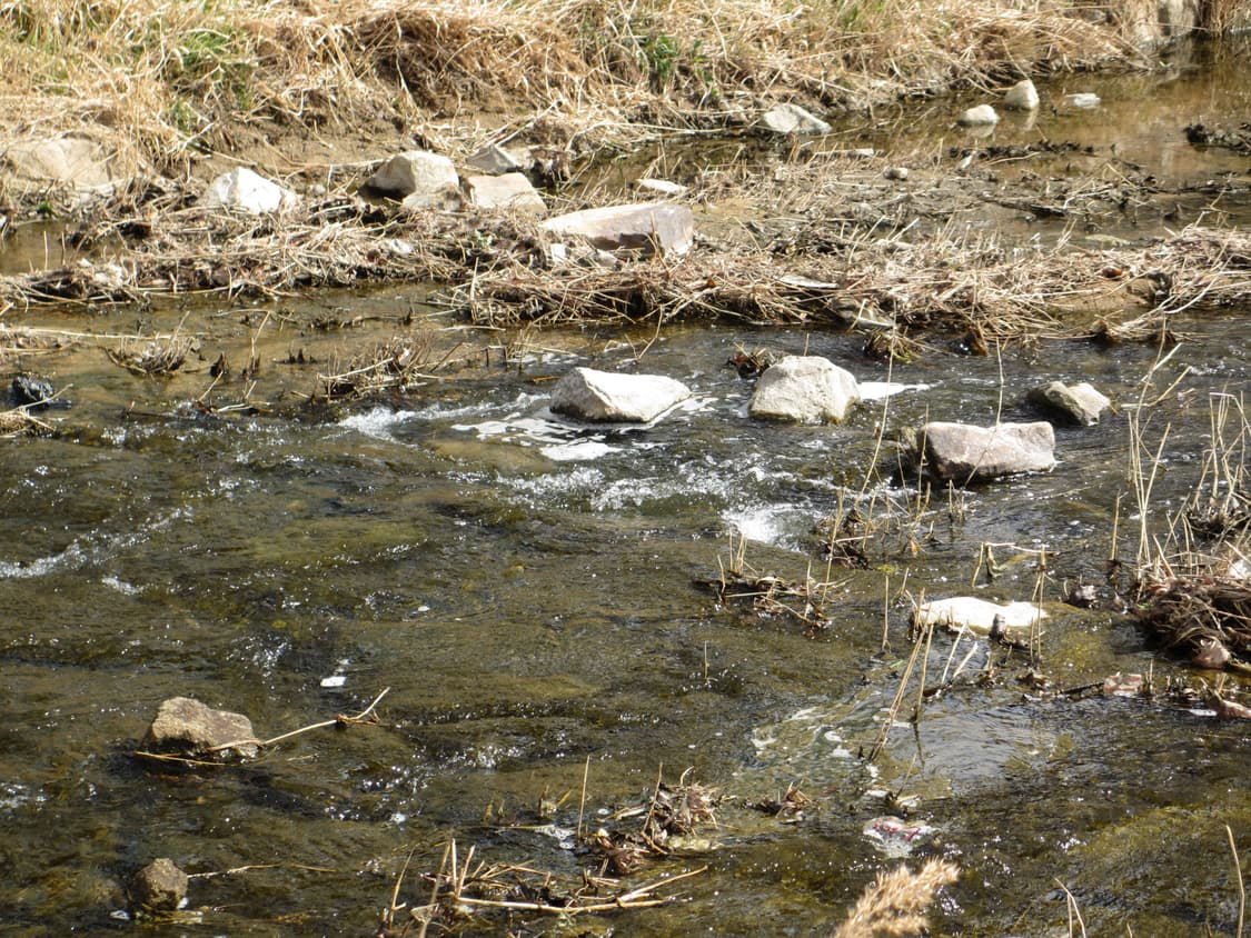 캐논 익시 600F Canon  ixy 600F = ixus 230hs 상품이미지7