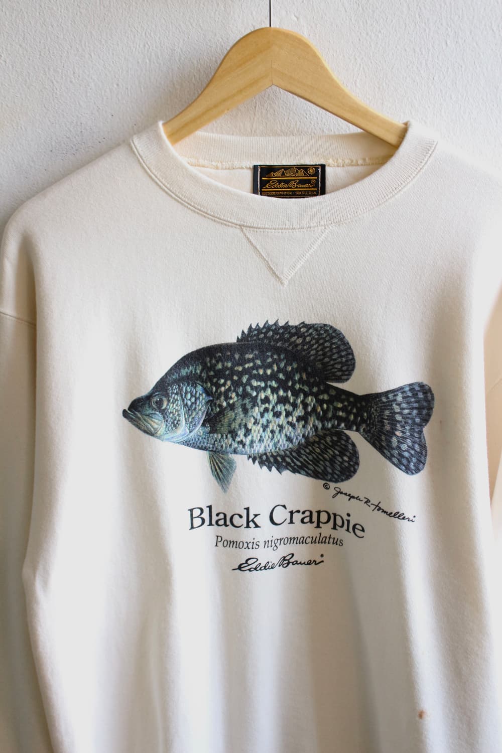 90s 에디바우어 피쉬 프린트 스웻셔츠 상품이미지4