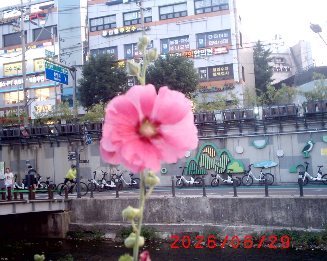 삼성 케녹스 디지맥스101 디카 상품이미지7