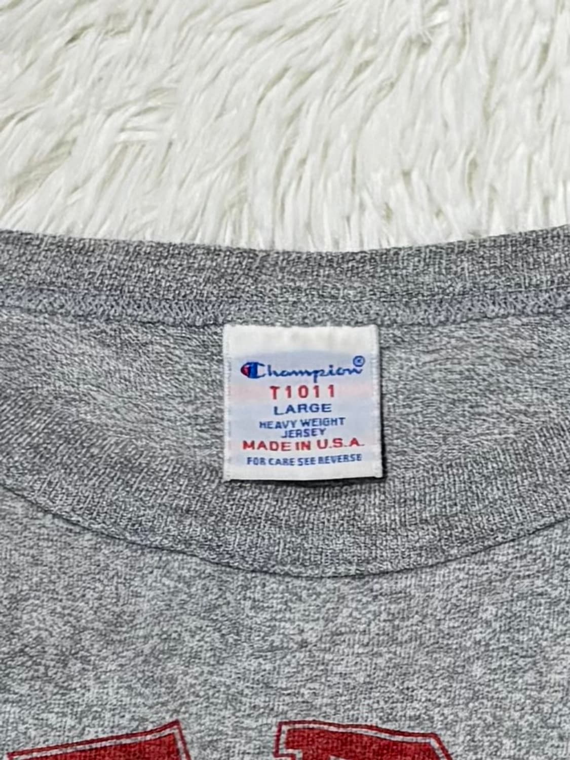 챔피언 USA 빅로고 헤비코튼 반팔 상품이미지6