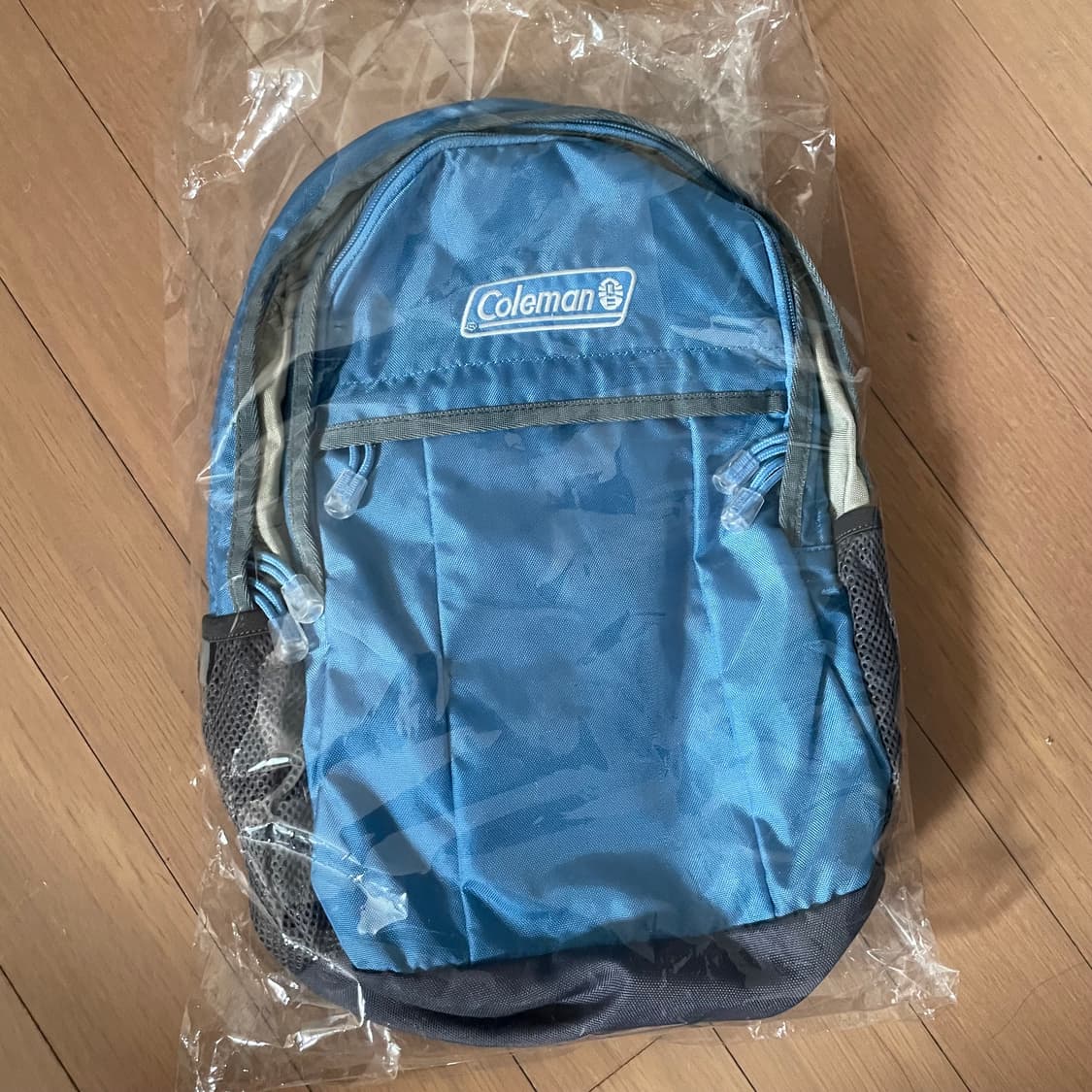 coleman 콜맨 스카이블루 하늘색 백팩 상품이미지1