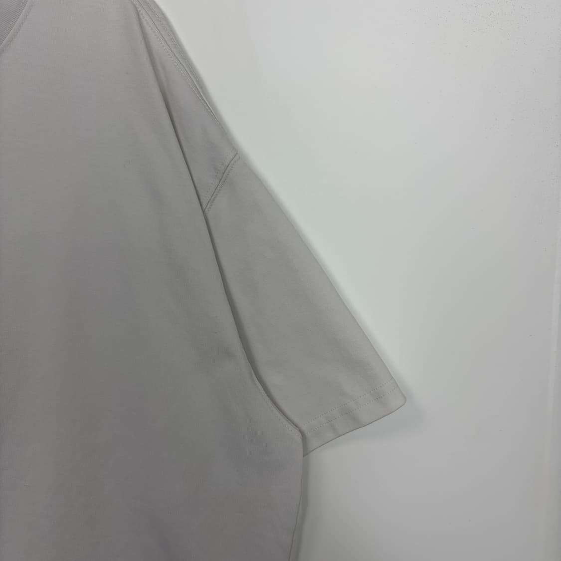 나이키 acg 로고 반팔 티셔츠 상품이미지3