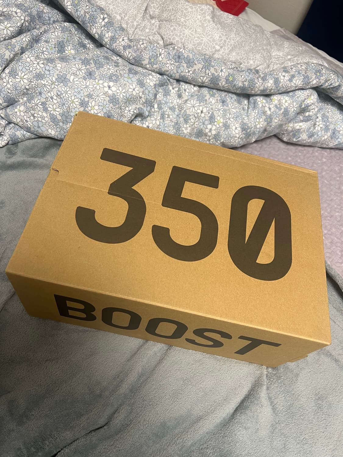 adidas Yeezy Boost 350 V2 Granite 상품이미지3