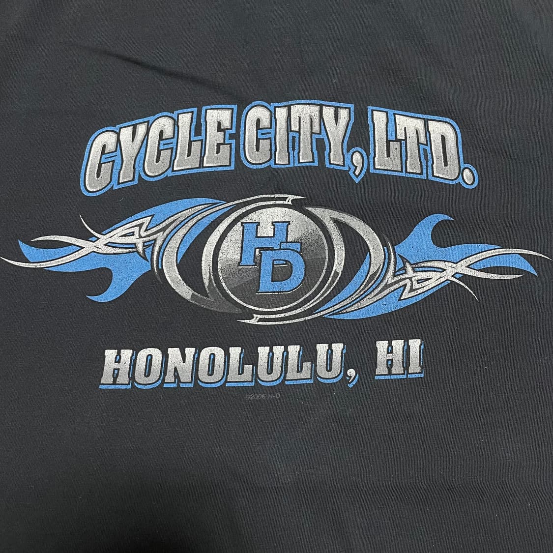 [2XL] 할리데이비슨 2004 블루 플레임 롱슬리브 상품이미지4