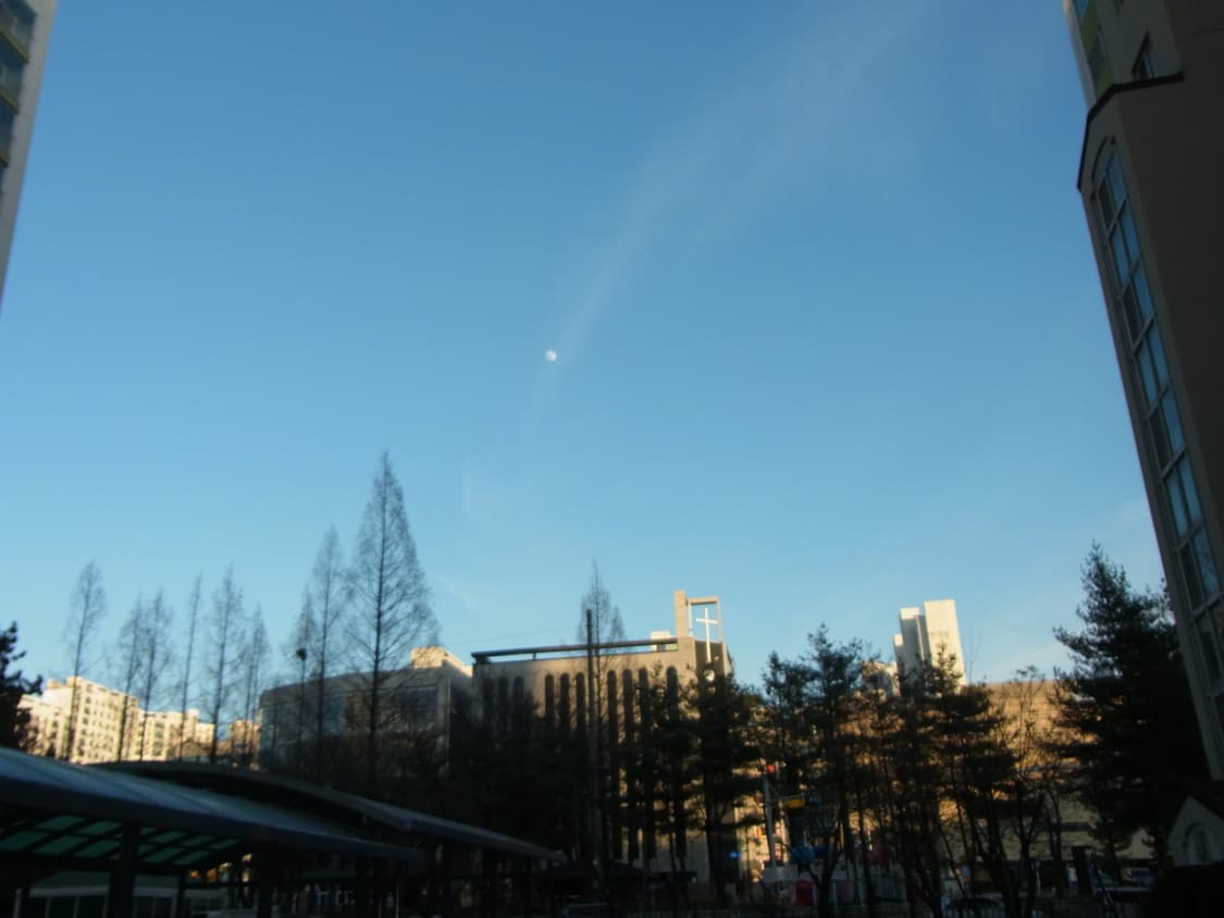 Ricoh CX4 디카 상품이미지5