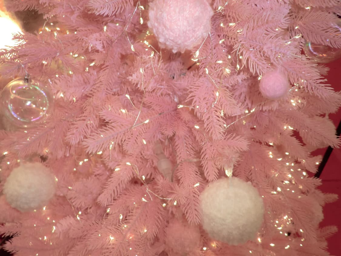 [작례O] 카시오 Z2300 핑크 디카 상품이미지2