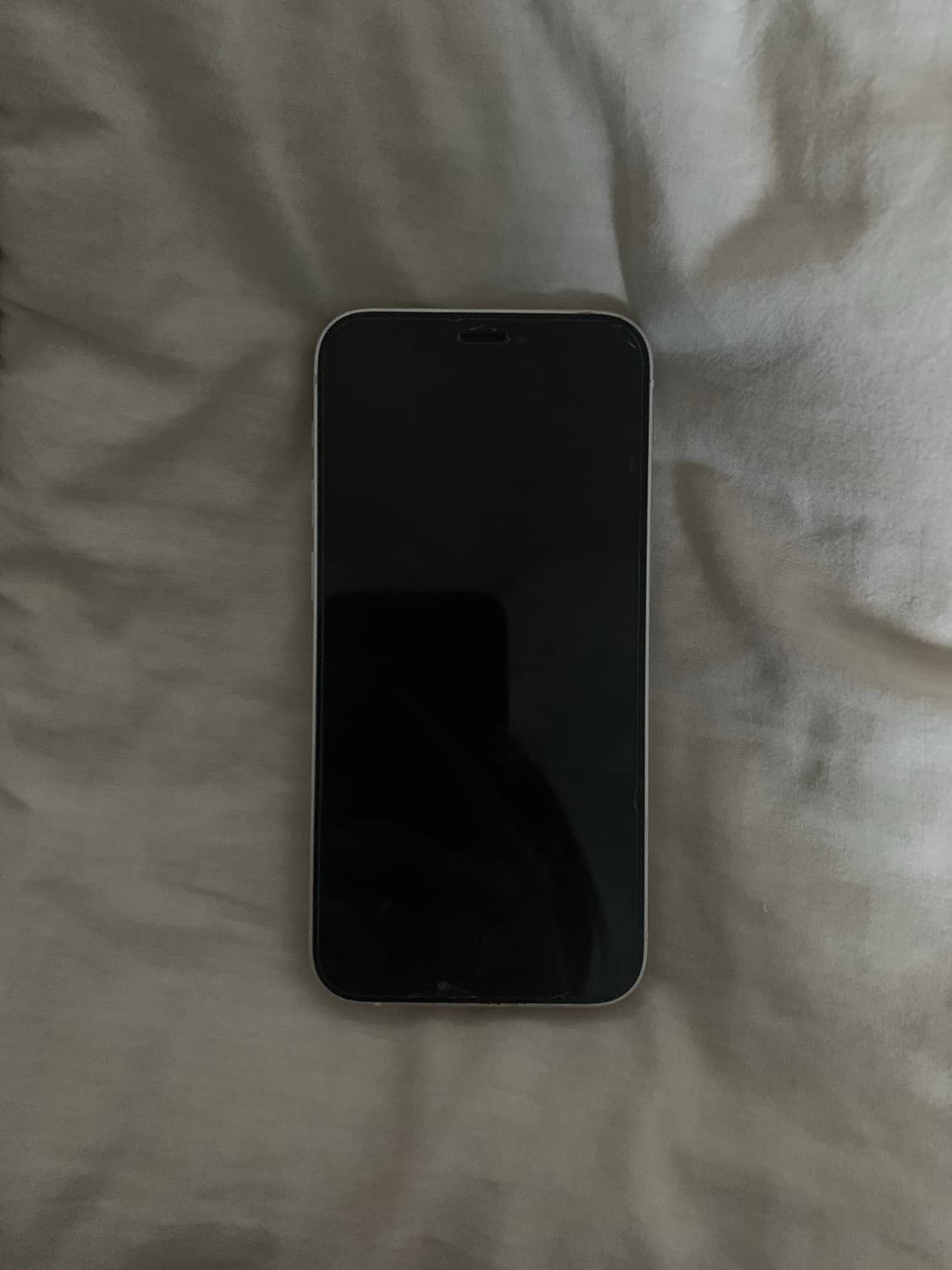 iPhone 12 mini 128G 상품이미지3