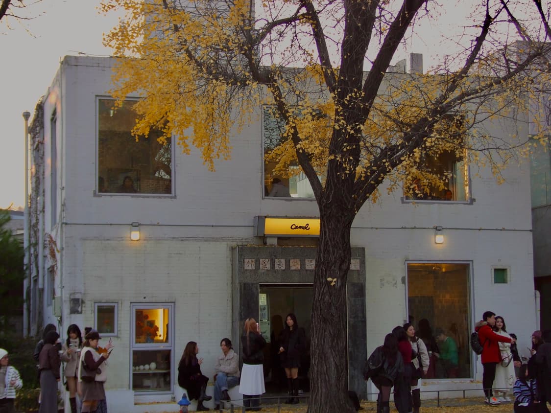 작례 ⭕️후지필름 FinePix S6500fd 카메라  상품이미지6