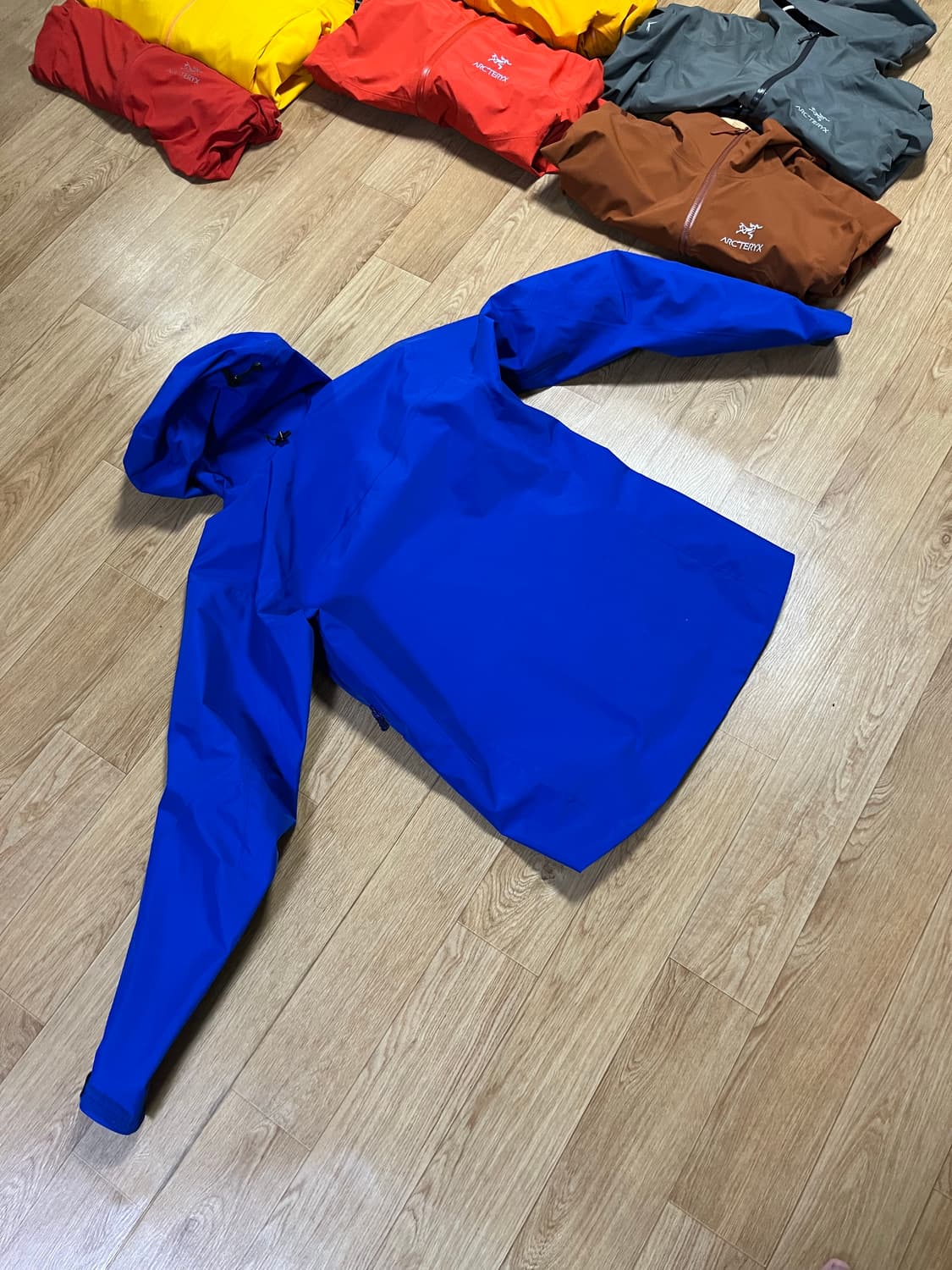 아크테릭스 알파sv 파란색 상품이미지2