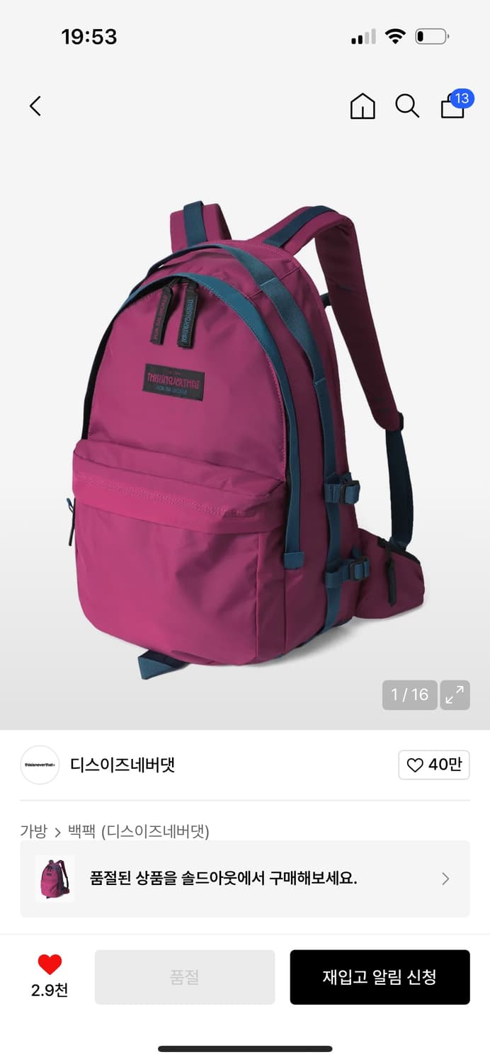 디스이즈네버댓 백팩 상품이미지1