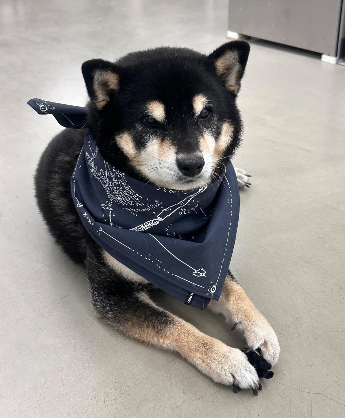 혜인서 그래픽 스카프 상품이미지2