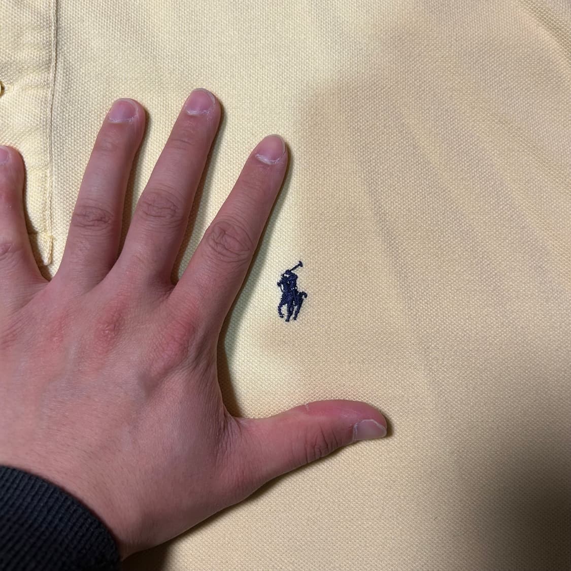 [XXL] 폴로 랄프로렌 옐로우 카라 반팔 상품이미지2