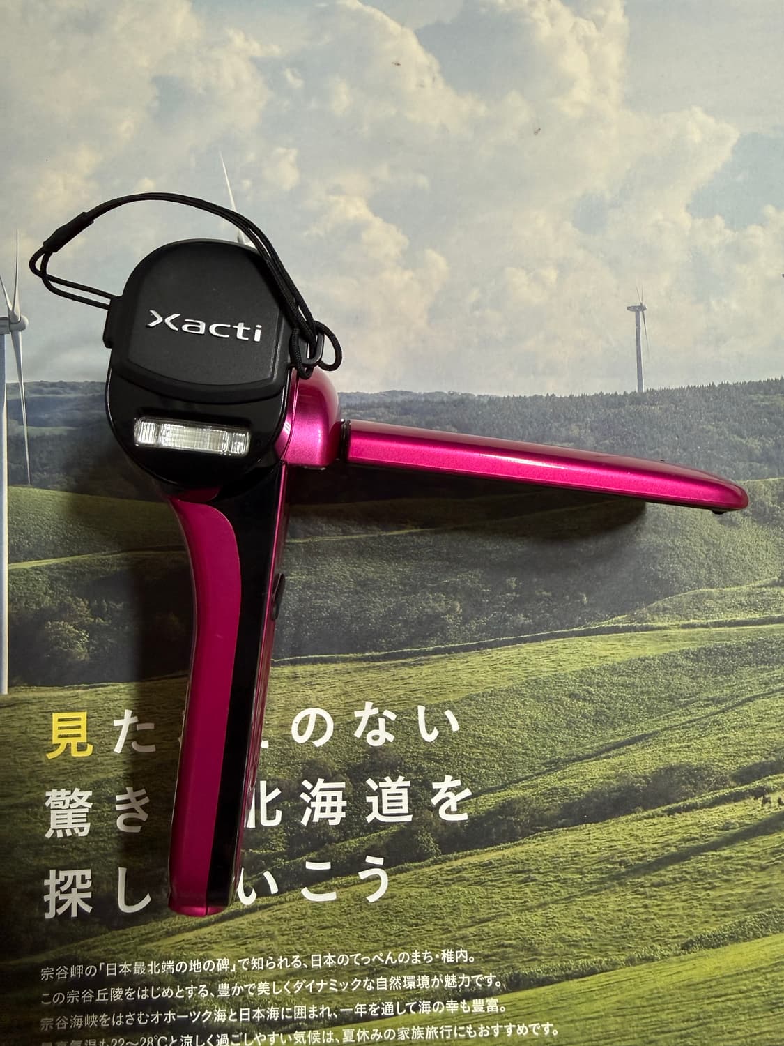 산요 Sanyo cacti CG20 pink  상품이미지3