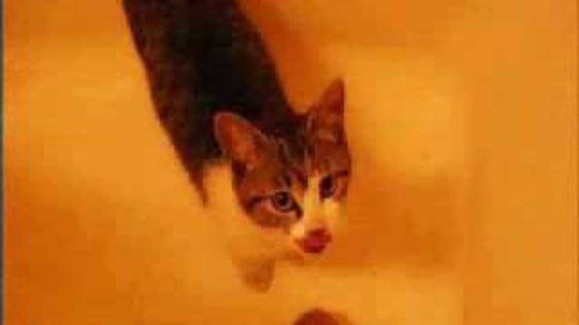 스카프두개 상품이미지1