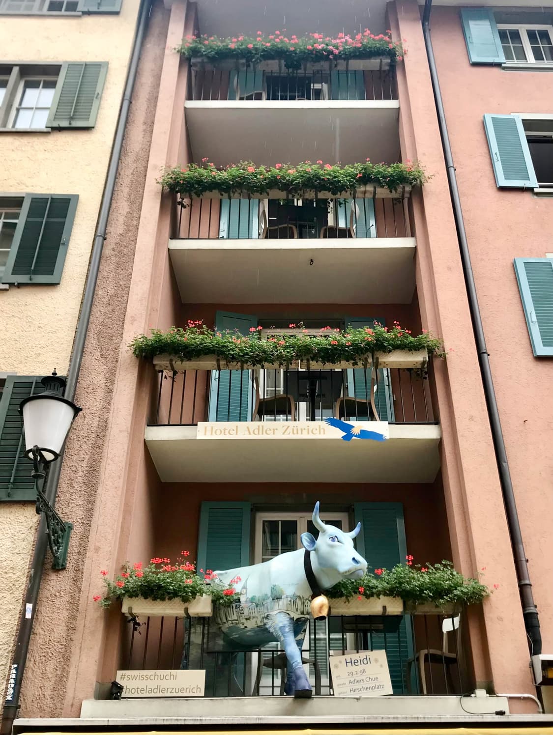 Panasonic DMC-LS60 (파나소닉 루믹스 DMC-LS60) 상품이미지8