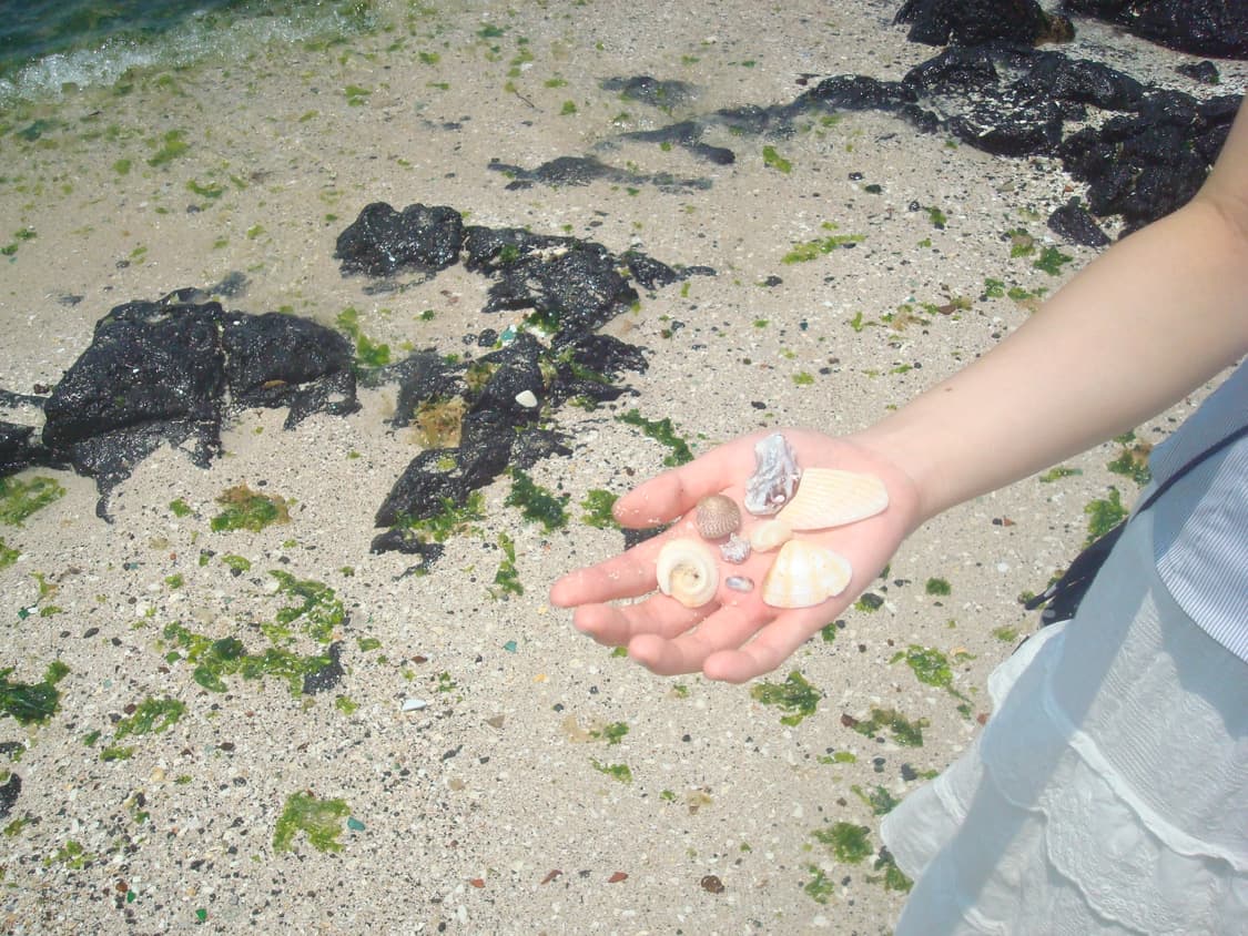 소니 사이버샷 DSC-W80 카메라 상품이미지3