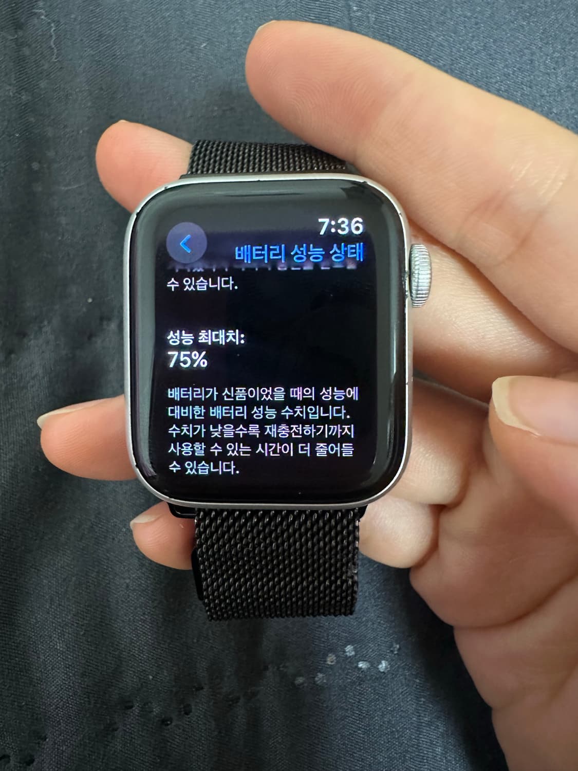 애플워치 SE 1세대 실버 40mm 상품이미지2